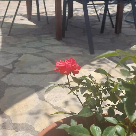 Sfinga Apartamento Trogir