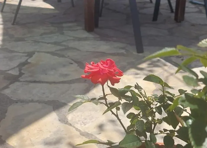 Sfinga Apartamento Trogir